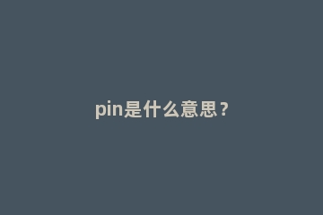 pin是什么意思？