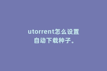 utorrent怎么设置自动下载种子。