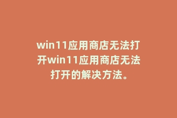 win11应用商店无法打开win11应用商店无法打开的解决方法。