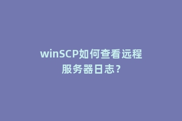 winSCP如何查看远程服务器日志？