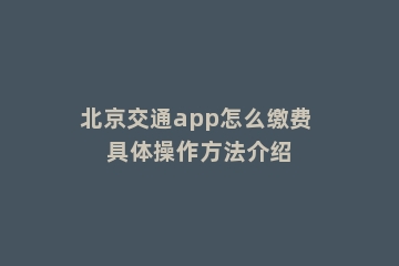 北京交通app怎么缴费 具体操作方法介绍
