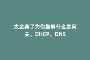 太金典了为你趣解什么是网关、DHCP、DNS