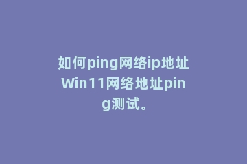 如何ping网络ip地址Win11网络地址ping测试。