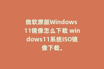 微软原版Windows 11镜像怎么下载 windows11系统ISO镜像下载。