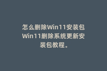 怎么删除Win11安装包Win11删除系统更新安装包教程。