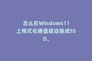 怎么在Windows11上格式化硬盘驱动器或SSD。