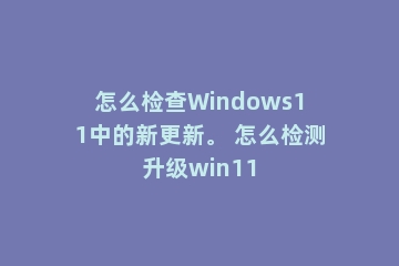 怎么检查Windows11中的新更新。 怎么检测升级win11