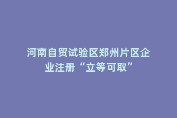 河南自贸试验区郑州片区企业注册“立等可取”