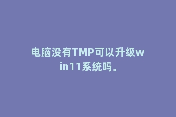 电脑没有TMP可以升级win11系统吗。