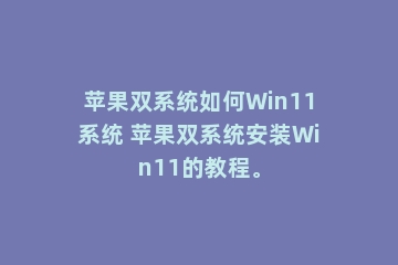 苹果双系统如何Win11系统 苹果双系统安装Win11的教程。