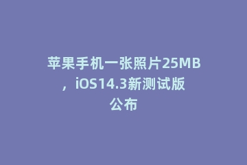 苹果手机一张照片25MB，iOS14.3新测试版公布