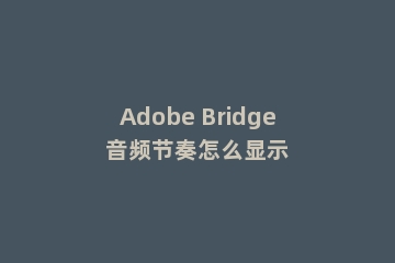 Adobe Bridge音频节奏怎么显示