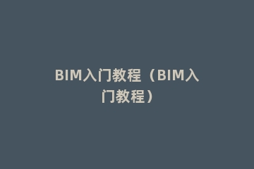 BIM入门教程（BIM入门教程）