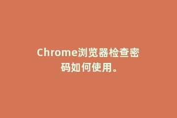 Chrome浏览器检查密码如何使用。