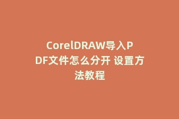 CorelDRAW导入PDF文件怎么分开 设置方法教程