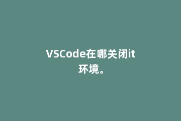VSCode在哪关闭it环境。
