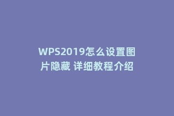 WPS2019怎么设置图片隐藏 详细教程介绍