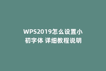 WPS2019怎么设置小初字体 详细教程说明