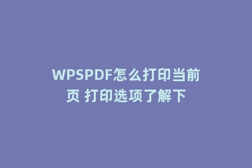 WPSPDF怎么打印当前页 打印选项了解下