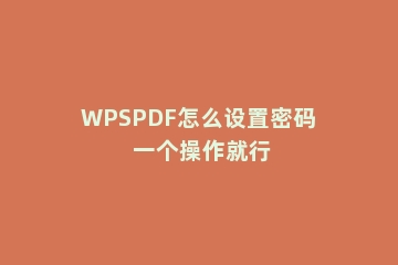 WPSPDF怎么设置密码 一个操作就行