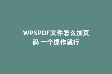 WPSPDF文件怎么加页码 一个操作就行