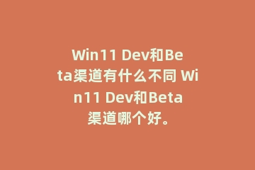 Win11 Dev和Beta渠道有什么不同 Win11 Dev和Beta渠道哪个好。