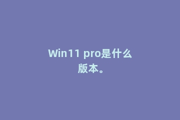 Win11 pro是什么版本。