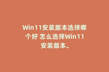Win11安装版本选择哪个好 怎么选择Win11安装版本。