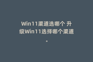 Win11渠道选哪个 升级Win11选择哪个渠道。