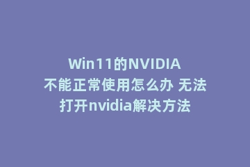 Win11的NVIDIA不能正常使用怎么办 无法打开nvidia解决方法
