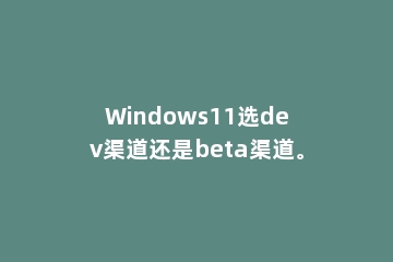 Windows11选dev渠道还是beta渠道。