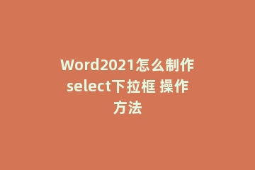 Word2021怎么制作select下拉框 操作方法