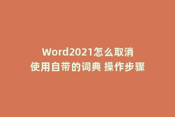 Word2021怎么取消使用自带的词典 操作步骤