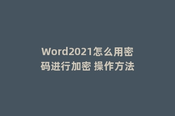Word2021怎么用密码进行加密 操作方法