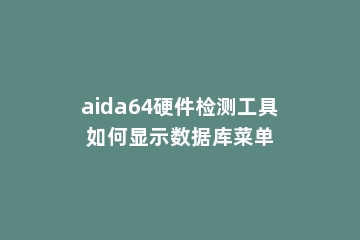 aida64硬件检测工具如何显示数据库菜单