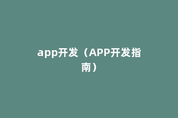 app开发（APP开发指南）