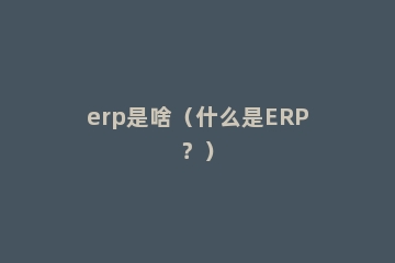 erp是啥（什么是ERP？）