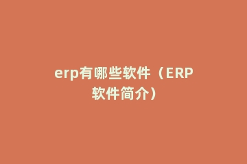erp有哪些软件（ERP软件简介）