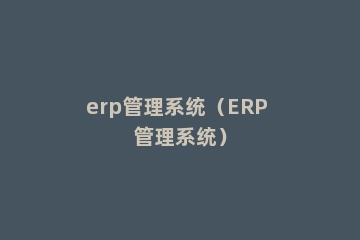 erp管理系统（ERP 管理系统）