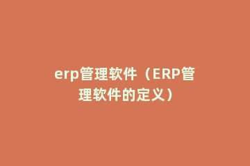 erp管理软件（ERP管理软件的定义）