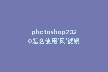 photoshop2020怎么使用‘风’滤镜