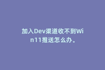 加入Dev渠道收不到Win11推送怎么办。