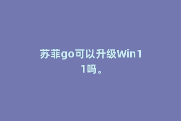 苏菲go可以升级Win11吗。