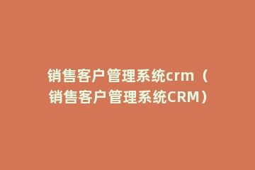 销售客户管理系统crm（销售客户管理系统CRM）