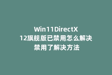 Win11DirectX12旗舰版已禁用怎么解决 禁用了解决方法