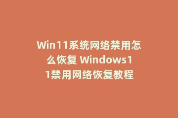 Win11系统网络禁用怎么恢复 Windows11禁用网络恢复教程