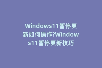 Windows11暂停更新如何操作?Windows11暂停更新技巧