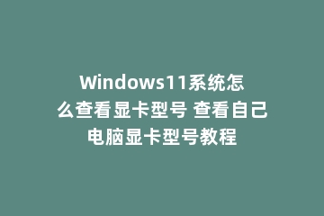 Windows11系统怎么查看显卡型号 查看自己电脑显卡型号教程