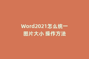 Word2021怎么统一图片大小 操作方法