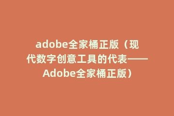adobe全家桶正版（现代数字创意工具的代表——Adobe全家桶正版）